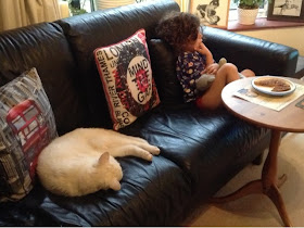 white cat and toddler on black leather sofa 