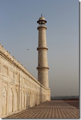 Taj Mahal 458 (427x640)