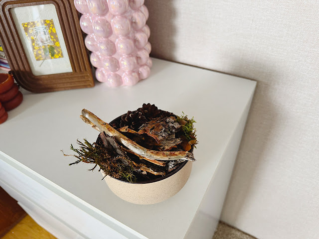 Homemade organic woodsy potpourri in decorative glass bowl