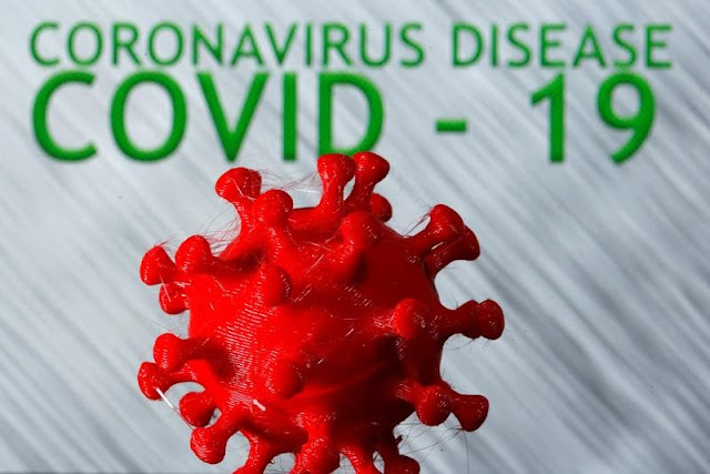 Essay on COVID-19 Coronavirus