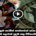 Woman Gave Birth To A Terrifying Snake