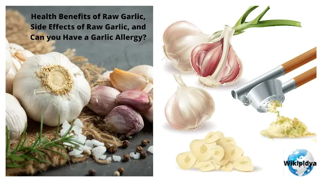 wikipidya, wikipidya/Various Usful Articles, helth, food, vegetable, health benefits of garlic,benefits of garlic,garlic benefits,garlic health benefits,side effects of garlic,benefits of eating raw garlic,benefits of eating garlic,garlic,raw garlic health benefits,raw garlic benefits,benefits of raw garlic,side effects of eating too much garlic,uses of garlic,garlic benefits for men,side effects of garlic eating,garlic benefits for health,raw garlic,garlic side effects,eating raw garlic,eating raw garlic benefits