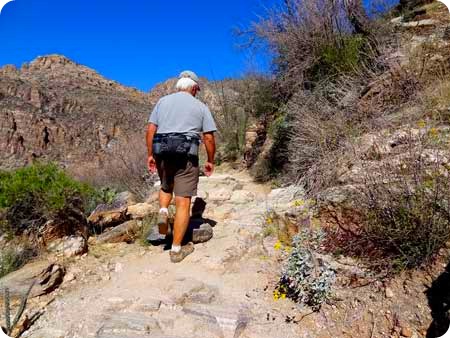 4-paull-on-path