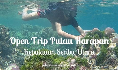 paket open trip pulau harapan