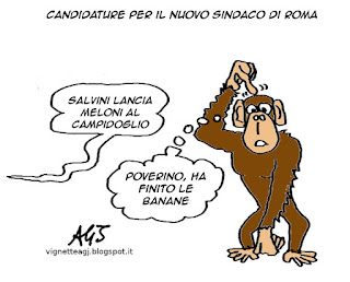 Meloni, salvini, campidoglio, roma, marino, vignetta satira