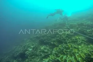 National Marine Day is a momentum for evaluating marine natural resource management