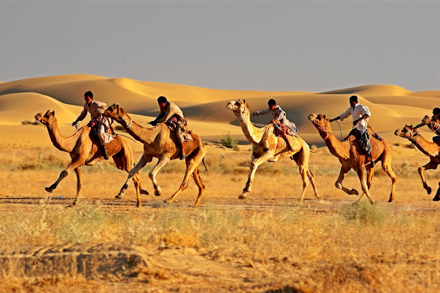 Jaisalmer Desert Festival Camel Race