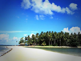 Pulau Sawi