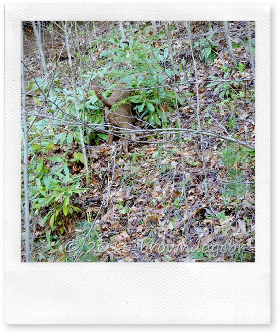 P1510768