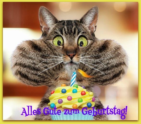 Lustige Katze mit Geburtstagstorte: Alles Gute zum Geburtstag!