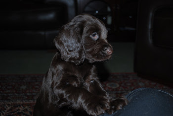 Ruby