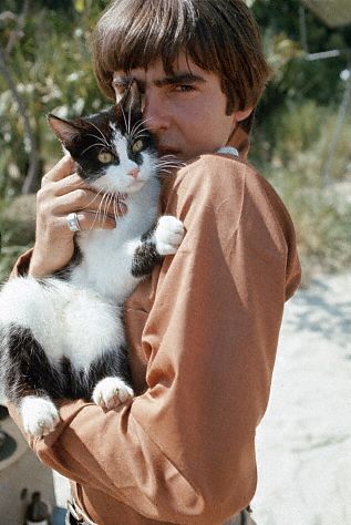 foto de Davy Jones con su gato 