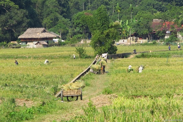 Hike From Ban Hieu village to Kho Muong in Pu Luong Nature Reserve