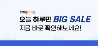  빅세일