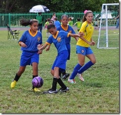 DSC_4488 (800x531)