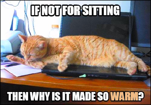 IF NOT FOR SITTING THEN WHY IS IT MADE SO WARM?
