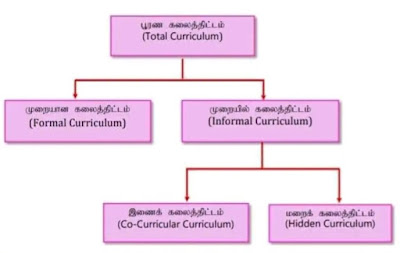 Curriculum classification