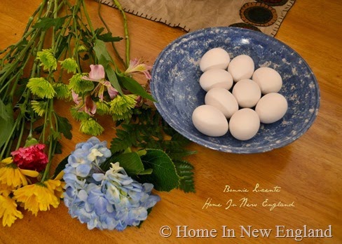 eggs natural dyed 3