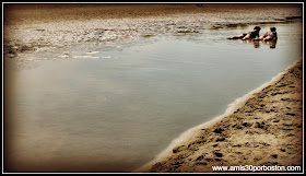 Crane Beach, Playas de Massachusetts