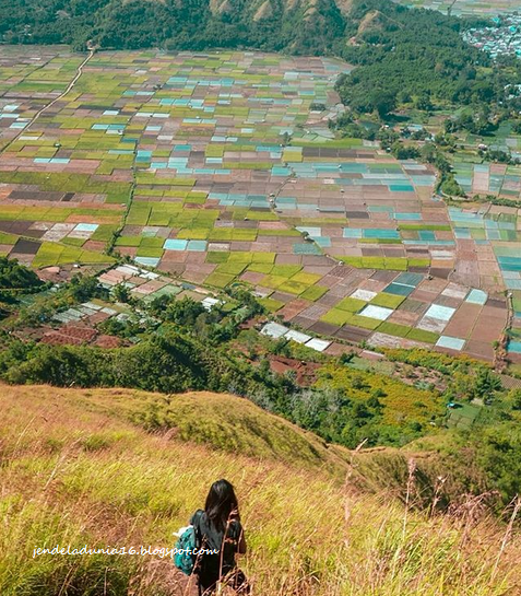 [http://FindWisata.blogspot.com] Bukit Pergasingan, Pesona Alam Indonesia Dari Pulau Lombok