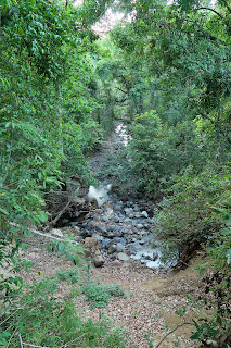 Rio Coco, Puriscal