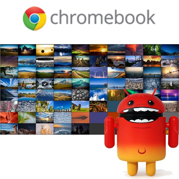 ユニークchromebook 壁紙 最高の花の画像