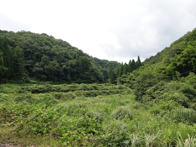 鳥取県西伯郡南部町東上のこもれび広場から金山集落に向かいます