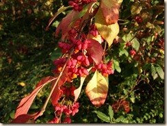 P9303059