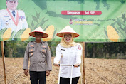 Dukung Swasembada Pangan Nasional, Wakil Bupati Banyuasin Hadiri Penanaman Jagung Serentak 