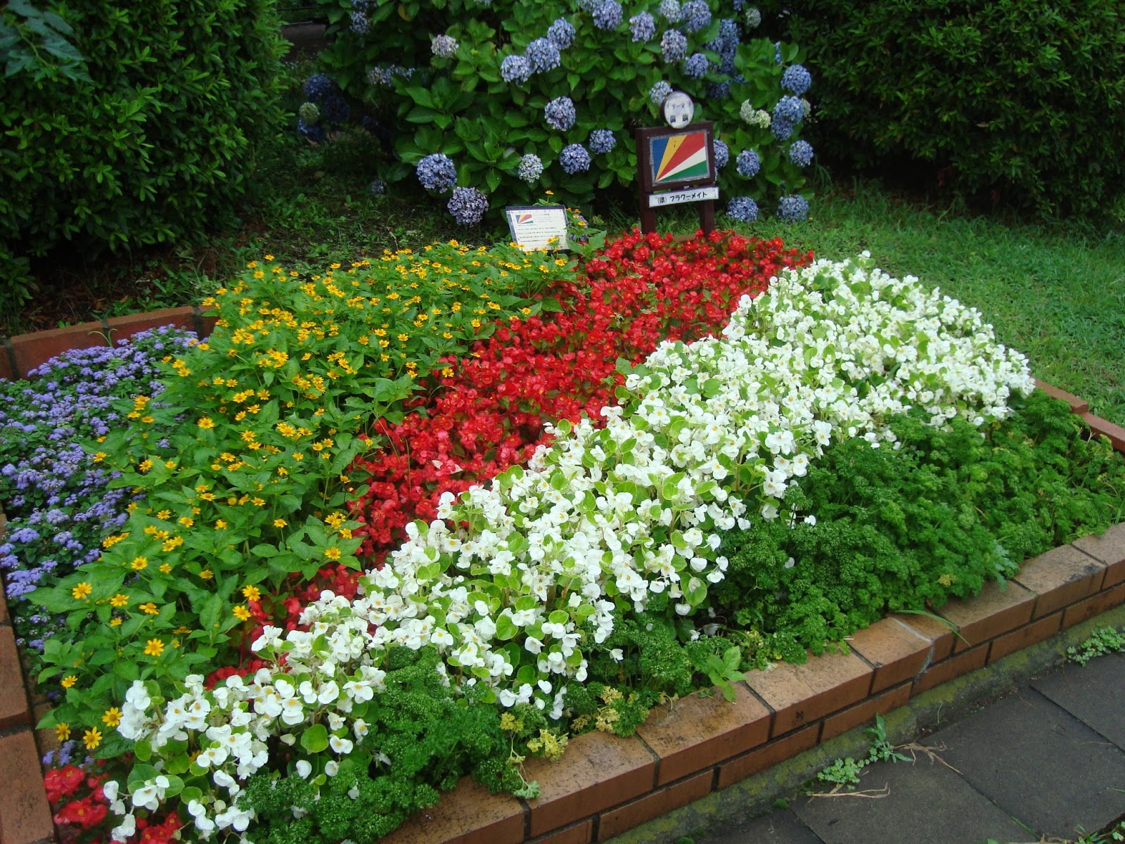 ほどがや花情報 ほどがや花情報 27 7 8 花見台国旗花壇
