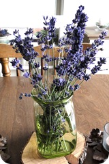 Fresh Lavender