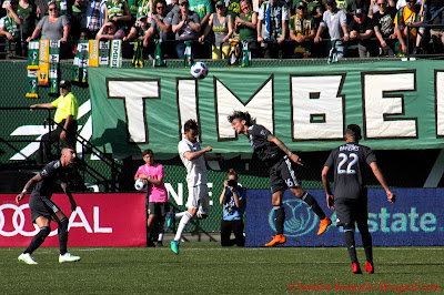 Timbers defense very well organized