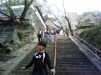 cherryblossoms at Kimii Dera