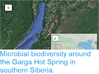 https://sciencythoughts.blogspot.com/2018/03/microbial-biodiversity-around-garga-hot.html