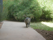 However, so far, the outdoors is still really Lily's world.