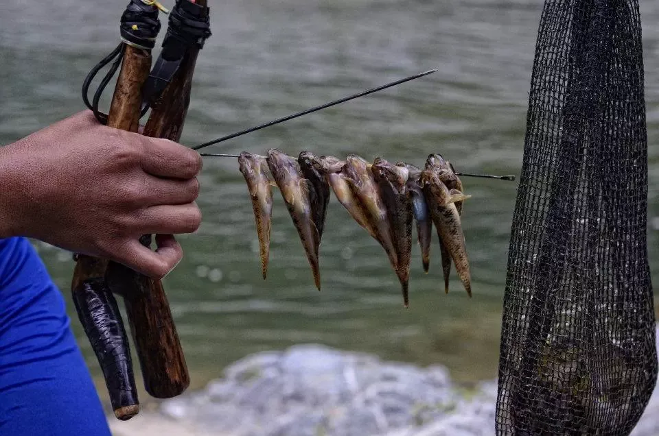 Hunger Games Bokod Benguet Cordillera Administrative Region Philippines Hunting by the River with Kid Bokod Spear Haul