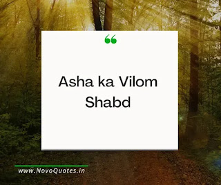 Asha Ka Vilom Shabd
