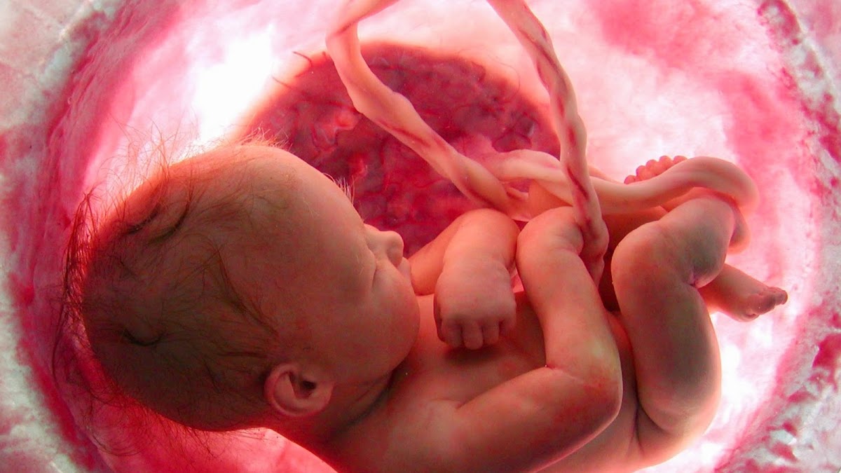 One stillbirth occurs every 16 seconds: UN