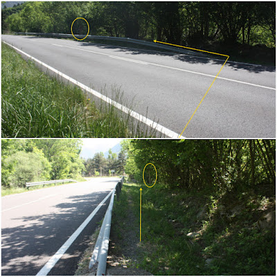 Ruta del Romànic de la Vall de Boí; carretera L-500