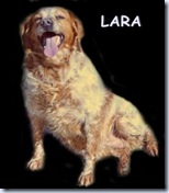 LARA