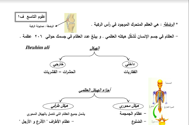 مذكرة علوم الفصل الأول للصف السادس 2024 