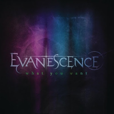 Evanescence - What You Want Lyrics