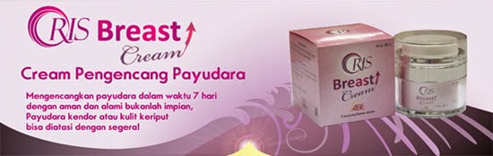 Produk Oris Breast Cream Pengencang Payudara