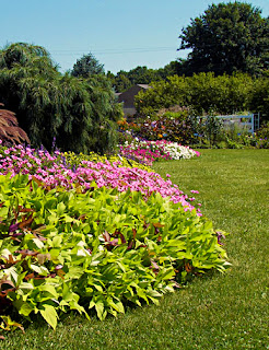 Summer border garden