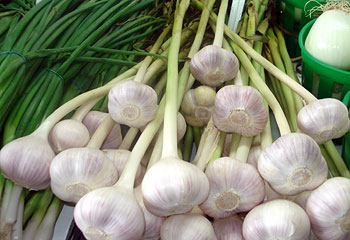 eat garlic
