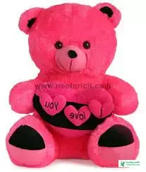 টেডি পিক  - টেডি বিয়ারের ছবি ডাউনলোড - teddy bear pic - NeotericIT.com - Image no 5