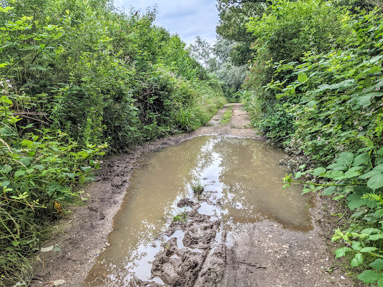 The puddle along Hertingfordbury bridleway 2