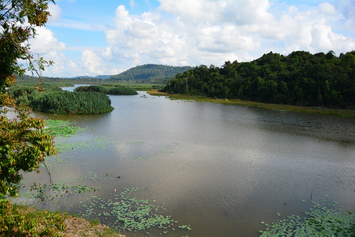 Chini lake Malaysia