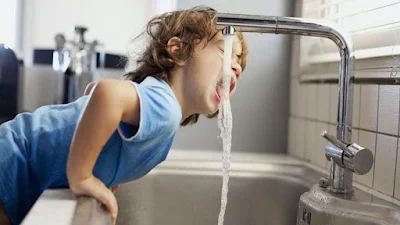 बच्चों को बार-बार प्यास लगती है तो कराएं अनार का सेवन