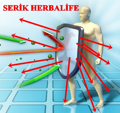 SERİK KARADAYI HERBALİFE